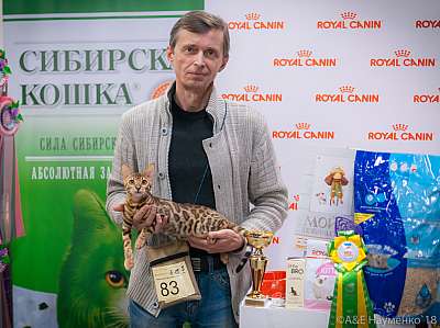 �������� ����� 17-18 ����� 2018