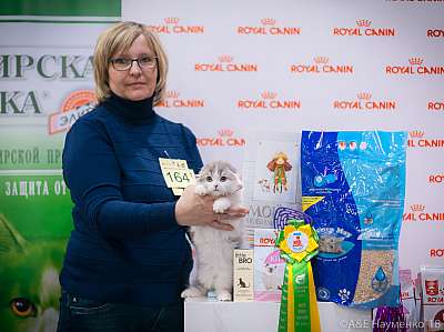 �������� ����� 17-18 ����� 2018