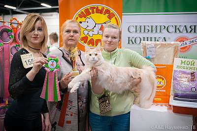 �������� ����� 17-18 ����� 2018