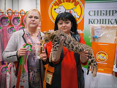 �������� ����� 17-18 ����� 2018