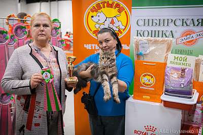 �������� ����� 17-18 ����� 2018