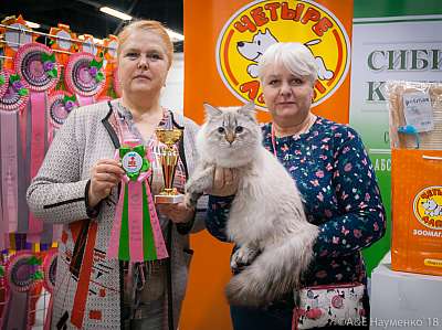 �������� ����� 17-18 ����� 2018