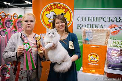 �������� ����� 17-18 ����� 2018