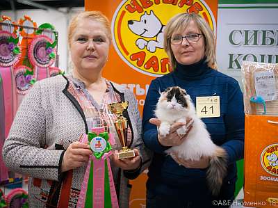 �������� ����� 17-18 ����� 2018