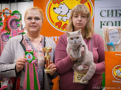 �������� ����� 17-18 ����� 2018