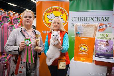 �������� ����� 17-18 ����� 2018