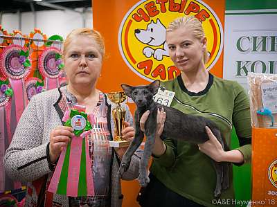 �������� ����� 17-18 ����� 2018