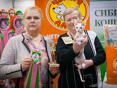 �������� ����� 17-18 ����� 2018