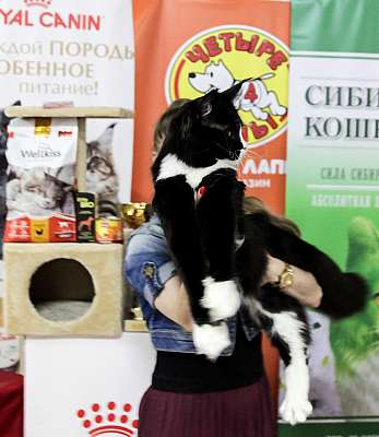 �������� ����� 16-17 ���� 20181-131-IMG_1108.jpg