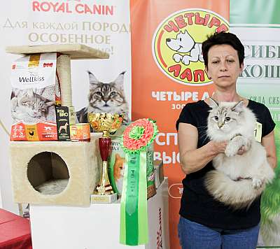 �������� ����� 16-17 ���� 20182-51-IMG_1103.jpg