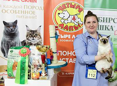 �������� ����� 16-17 ���� 20189-112-IMG_0982.jpg