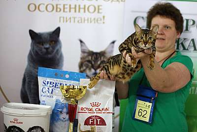 �������� ����� 16-17 ���� 2018 5-62-IMG_1867.jpg