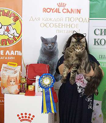 �������� ����� 16-17 ���� 2018 4-132-IMG_0207.jpg