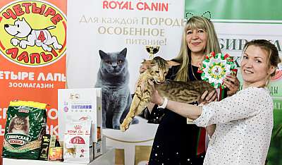 �������� ����� 16-17 ���� 20181-106-IMG_0723.jpg