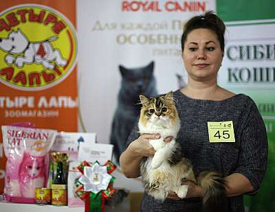 �������� ����� 16-17 ���� 2018 6-45-IMG_1622.jpg