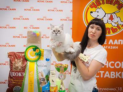 �������� ����� 7-8 ���� 2018 10-29-0269.jpg