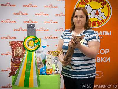 �������� ����� 7-8 ���� 2018 11-72-0299.jpg