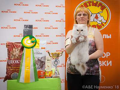 �������� ����� 7-8 ���� 2018 14-1-0247.jpg