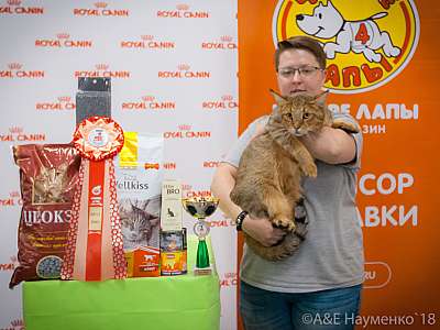 �������� ����� 7-8 ���� 2018 15-86-0244.jpg