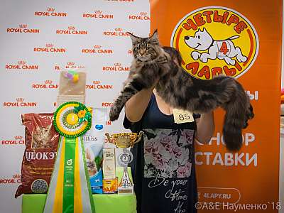 �������� ����� 7-8 ���� 2018 5-85-0313.jpg