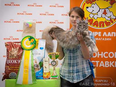 �������� ����� 7-8 ���� 2018 6-13-0309.jpg