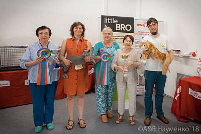 �������� ����� 7-8 ���� 2018 0630.jpg