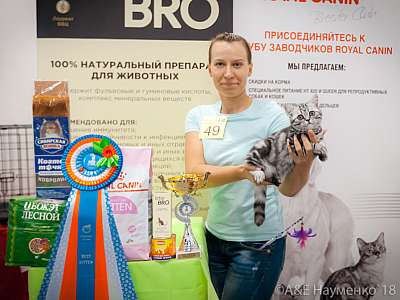 �������� ����� 7-8 ���� 2018 11-49-0587.jpg