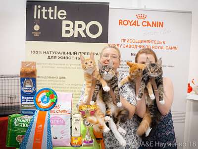 �������� ����� 7-8 ���� 2018 13-81-0573.jpg