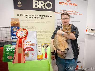 �������� ����� 7-8 ���� 2018 15-86-0562.jpg