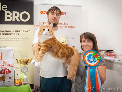 �������� ����� 7-8 ���� 2018 2-20-0628.jpg