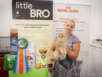 �������� ����� 7-8 ���� 2018 3-70-0624.jpg