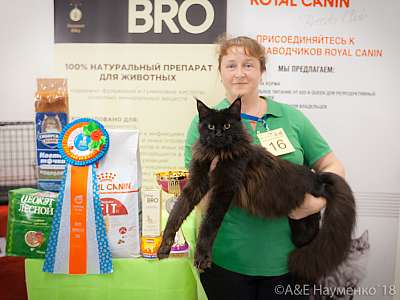 �������� ����� 7-8 ���� 2018 4-16-0610.jpg