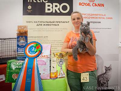 �������� ����� 7-8 ���� 2018 7-43-0603.jpg