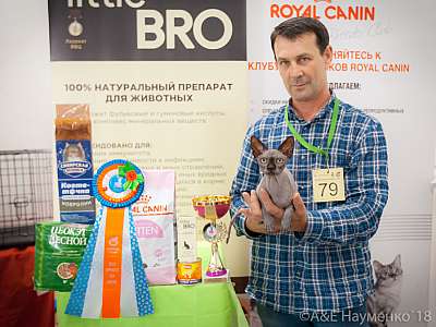 �������� ����� 7-8 ���� 2018 8-79-0601.jpg