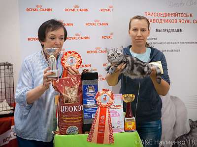 �������� ����� 7-8 ���� 2018 1-49-0441.jpg