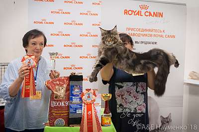 �������� ����� 7-8 ���� 2018 1-85-.jpg