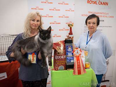 �������� ����� 7-8 ���� 2018 6-19-0510.jpg