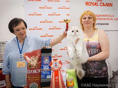 �������� ����� 7-8 ���� 2018 7-1-0507.jpg