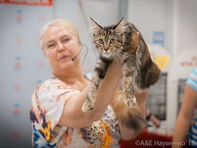 �������� ����� 7-8 ���� 2018 5-13-.jpg