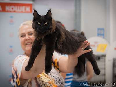 �������� ����� 7-8 ���� 2018 7-14-0077.jpg