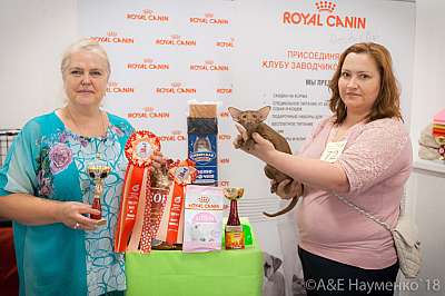 �������� ����� 7-8 ���� 2018 1-72-0415.jpg