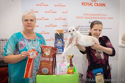 �������� ����� 7-8 ���� 2018 2-88-0414.jpg