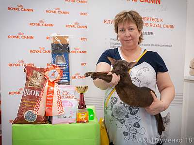 �������� ����� 7-8 ���� 2018 3-95-0410.jpg