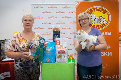 �������� ����� 7-8 ���� 2018 1-87-0241.jpg