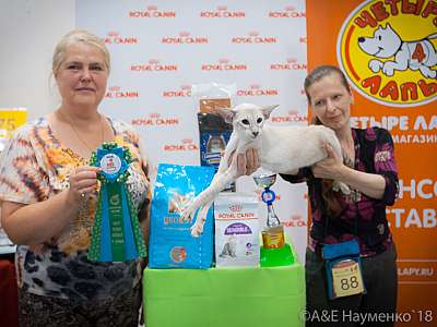 �������� ����� 7-8 ���� 2018 2-88-0239.jpg