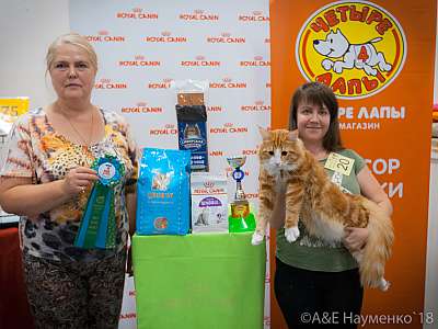 �������� ����� 7-8 ���� 2018 4-20-0236.jpg