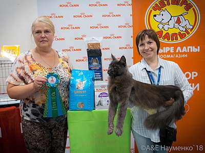 �������� ����� 7-8 ���� 2018 6-6-0235.jpg