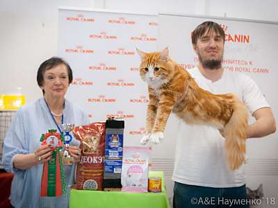 �������� ����� 7-8 ���� 2018 2-20-0456.jpg