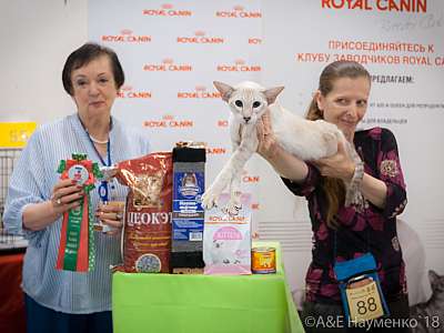 �������� ����� 7-8 ���� 2018 3-88-0452.jpg