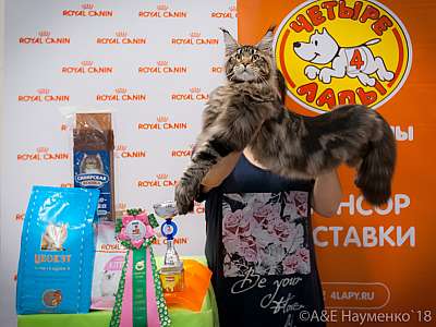 �������� ����� 7-8 ���� 2018 2-85-0042.jpg